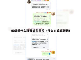 蝙蝠是什么聊天类型图片（什么叫蝙蝠聊天）