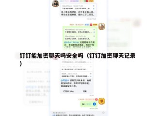钉钉能加密聊天吗安全吗（钉钉加密聊天记录）