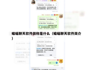 蝙蝠聊天软件简称是什么（蝙蝠聊天软件简介）