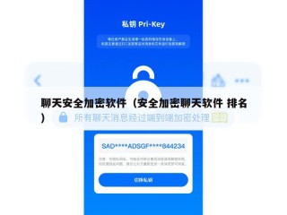 聊天安全加密软件（安全加密聊天软件 排名）