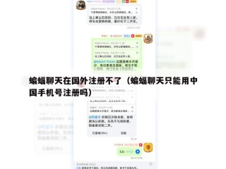 蝙蝠聊天在国外注册不了（蝙蝠聊天只能用中国手机号注册吗）