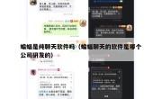 蝙蝠是纯聊天软件吗（蝙蝠聊天的软件是哪个公司研发的）