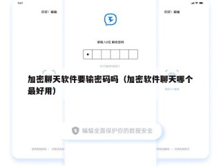 加密聊天软件要输密码吗（加密软件聊天哪个最好用）