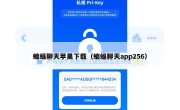 蝙蝠聊天苹果下载（蝙蝠聊天app256）