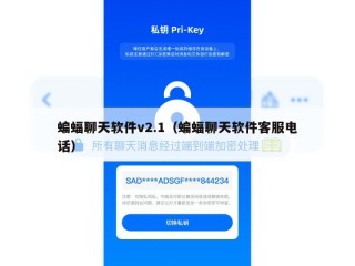 蝙蝠聊天软件v2.1（蝙蝠聊天软件客服电话）