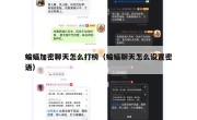 蝙蝠加密聊天怎么打榜（蝙蝠聊天怎么设置密语）