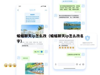 蝙蝠聊天ip怎么改（蝙蝠聊天ip怎么改名字）