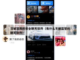 没被禁用的安全聊天软件（有什么不被监管的聊天软件）