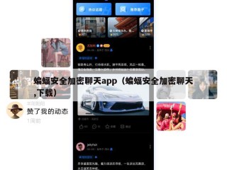 蝙蝠安全加密聊天app（蝙蝠安全加密聊天,下载）