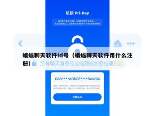 蝙蝠聊天软件id号（蝙蝠聊天软件用什么注册）