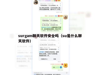 surgam聊天软件安全吗（su是什么聊天软件）