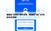 蝙蝠和飞机哪个聊天安全（蝙蝠和飞机飞行的简单示意图）