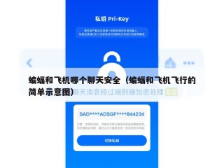 蝙蝠和飞机哪个聊天安全（蝙蝠和飞机飞行的简单示意图）