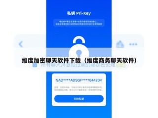 维度加密聊天软件下载（维度商务聊天软件）