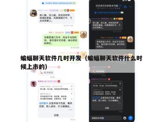蝙蝠聊天软件几时开发（蝙蝠聊天软件什么时候上市的）