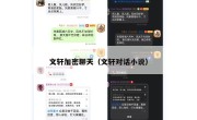 文轩加密聊天（文轩对话小说）
