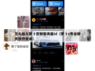 怎么加入萝卜密聊服务器id（萝卜+专业聊天软件安卓）