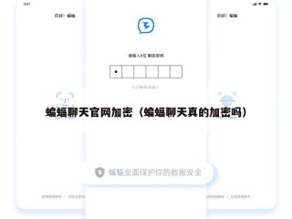 蝙蝠聊天官网加密（蝙蝠聊天真的加密吗）