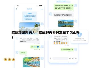 蝙蝠加密聊天儿（蝙蝠聊天密码忘记了怎么办）