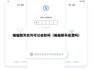 蝙蝠聊天软件可以收款吗（蝙蝠聊天收费吗）