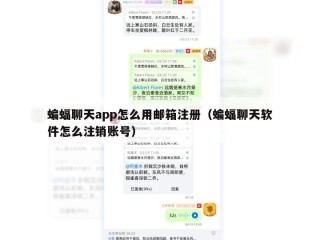 蝙蝠聊天app怎么用邮箱注册（蝙蝠聊天软件怎么注销账号）