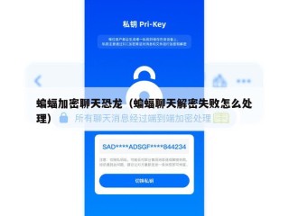蝙蝠加密聊天恐龙（蝙蝠聊天解密失败怎么处理）
