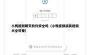 小鸭视频聊天软件安全吗（小鸭视频搞笑视频大全可爱）