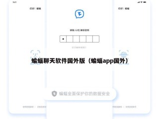 蝙蝠聊天软件国外版（蝙蝠app国外）