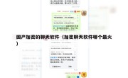 国产加密的聊天软件（加密聊天软件哪个最火）