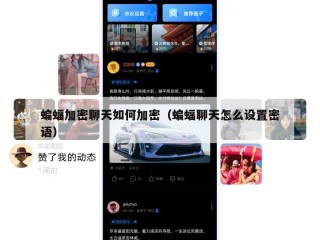 蝙蝠加密聊天如何加密（蝙蝠聊天怎么设置密语）