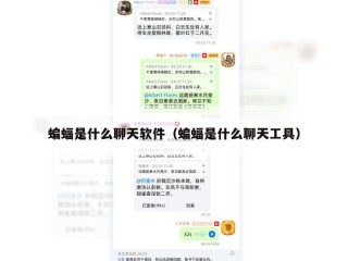 蝙蝠是什么聊天软件（蝙蝠是什么聊天工具）