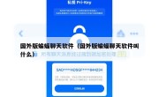 国外版蝙蝠聊天软件（国外版蝙蝠聊天软件叫什么）