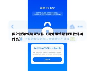 国外版蝙蝠聊天软件（国外版蝙蝠聊天软件叫什么）