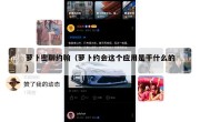 萝卜密聊约翰（萝卜约会这个应用是干什么的）