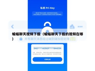 蝙蝠聊天视频下载（蝙蝠聊天下载的视频在哪）