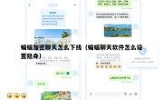蝙蝠加密聊天怎么下线（蝙蝠聊天软件怎么设置隐身）