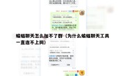 蝙蝠聊天怎么加不了群（为什么蝙蝠聊天工具一直连不上网）
