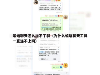 蝙蝠聊天怎么加不了群（为什么蝙蝠聊天工具一直连不上网）