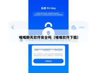 唯唯聊天软件安全吗（唯唯软件下载）