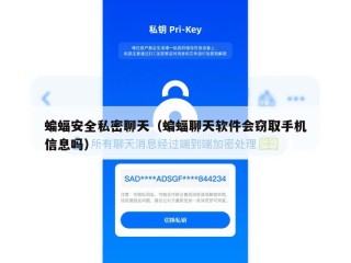 蝙蝠安全私密聊天（蝙蝠聊天软件会窃取手机信息吗）