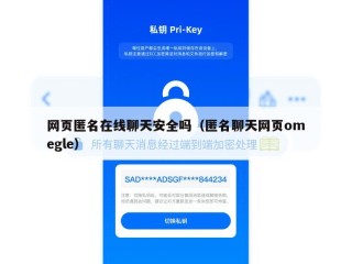 网页匿名在线聊天安全吗（匿名聊天网页omegle）