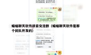 蝙蝠聊天软件项目交流群（蝙蝠聊天软件是那个团队开发的）