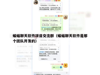 蝙蝠聊天软件项目交流群（蝙蝠聊天软件是那个团队开发的）