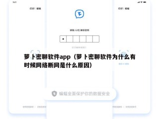 萝卜密聊软件app（萝卜密聊软件为什么有时候网络断网是什么原因）