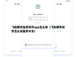 飞机聊天加密软件app怎么用（飞机聊天软件怎么设置弄中文）