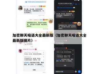 加密聊天暗语大全最新版（加密聊天暗语大全最新版图片）