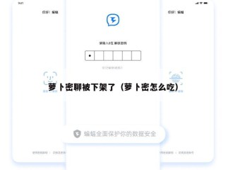 萝卜密聊被下架了（萝卜密怎么吃）