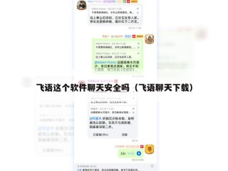 飞语这个软件聊天安全吗（飞语聊天下载）