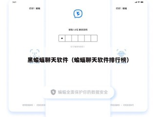 黑蝙蝠聊天软件（蝙蝠聊天软件排行榜）