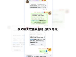 夜叉聊天软件安全吗（夜叉是啥）